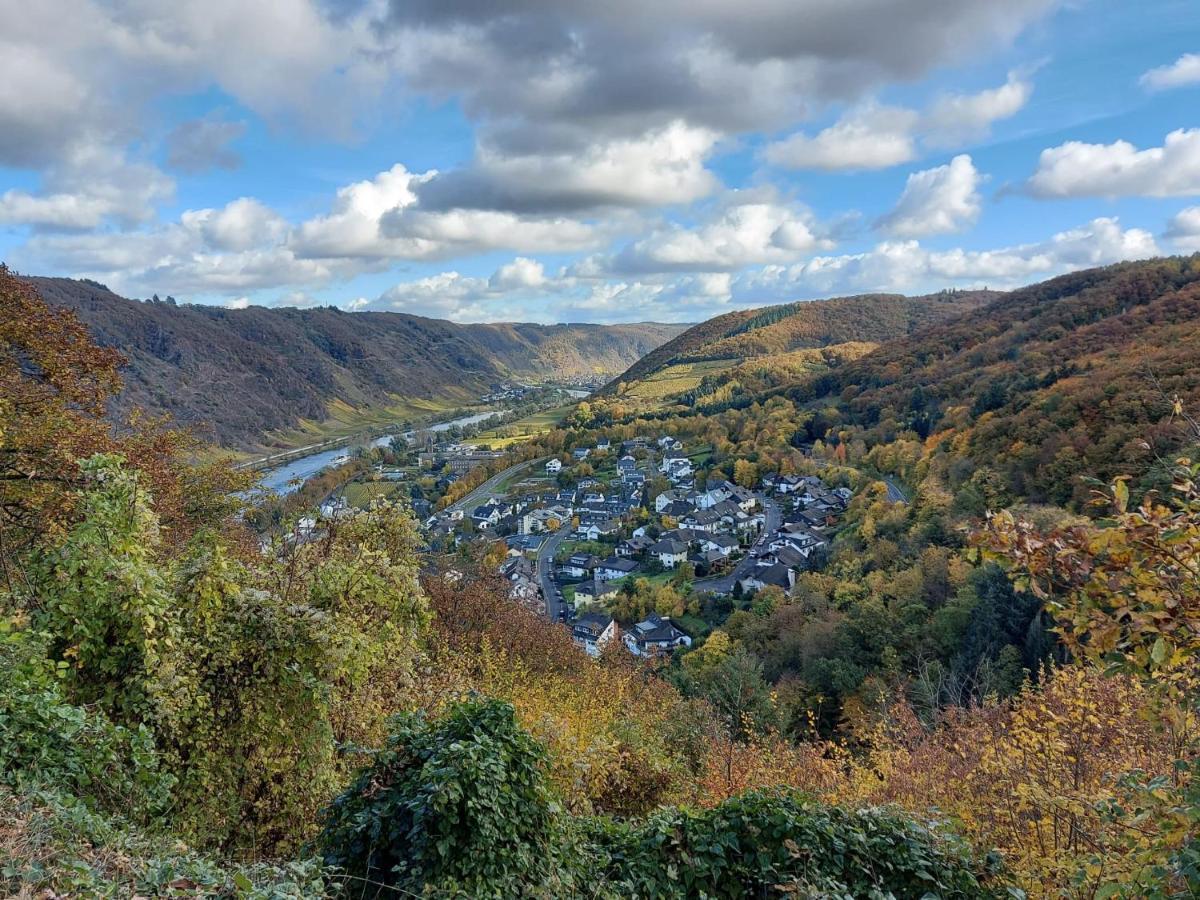 Ferienwohnung Meyver Cochem Kültér fotó